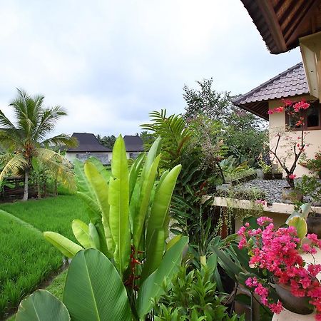 Satori Villas Bali Ubud  Exterior photo