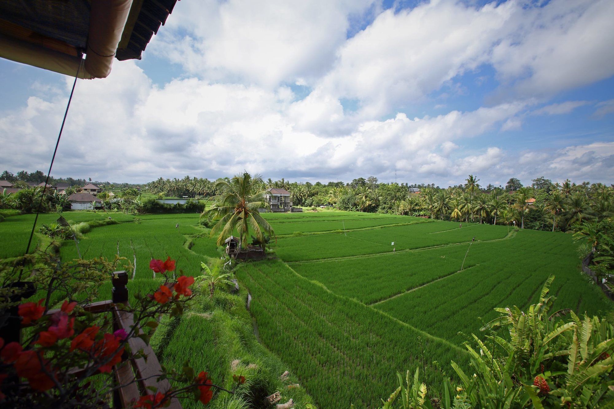 Satori Villas Bali Ubud  Exterior photo